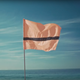 Refugee team flag.